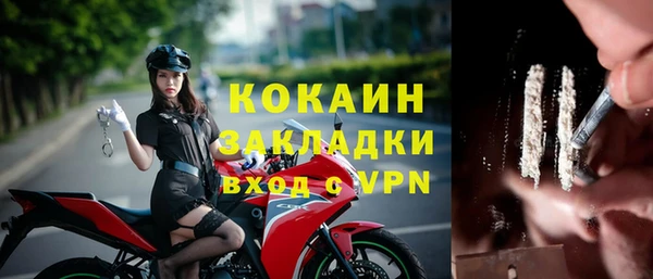 крисы Абдулино