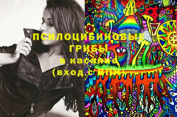 крисы Абдулино