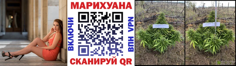 Конопля планчик как найти закладки Елизаветинская